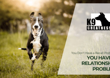 You Don’t Have a Recall Problem — You Have a Relationship Problem
