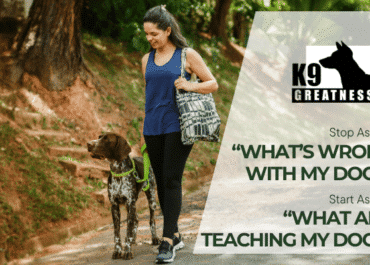 Stop Asking “What’s Wrong With My Dog?” Start Asking “What Am I Teaching My Dog?”
