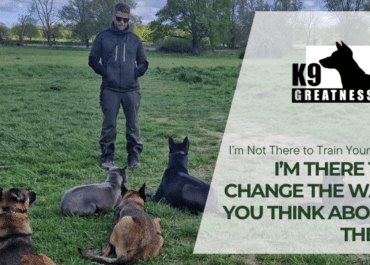 I’m Not There to Train Your Dog. I’m There to Change the Way You Think About Them.